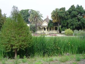 Fullerton Arboretum pond and gardens
